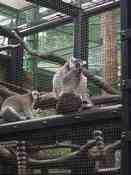 HongKong mei 2008 029.jpg